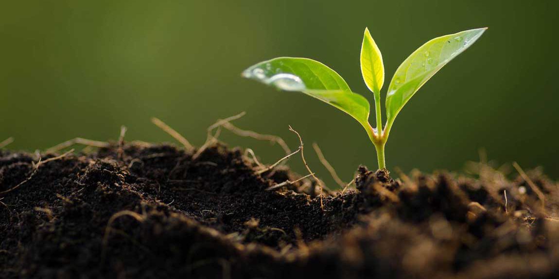 Fields of Activities