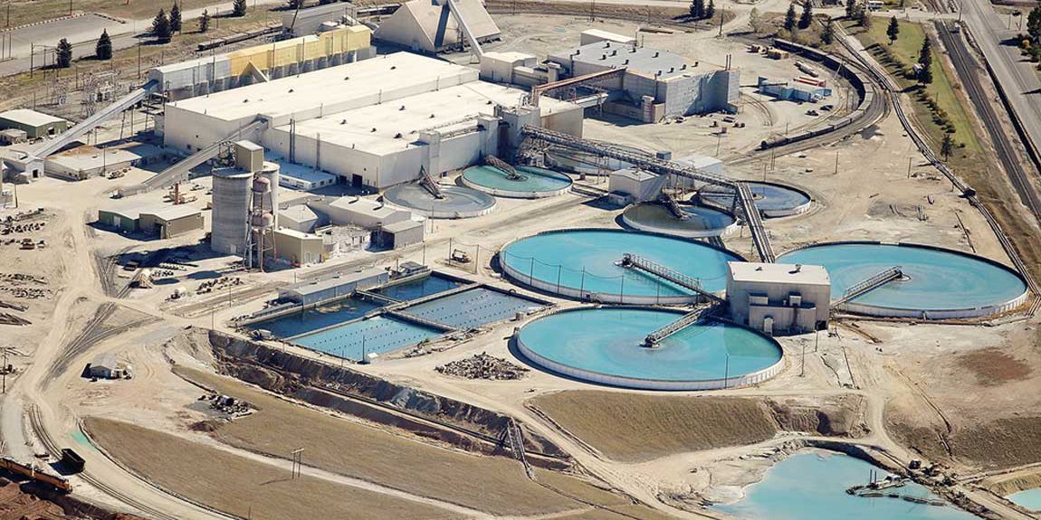 Fields of Activities